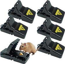 6pk Mouse Traps | Heavy Duty