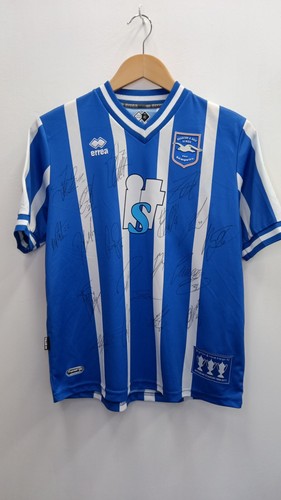 Brighton and hove albion - brighton,