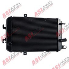 Black Aluminum Racing Radiator