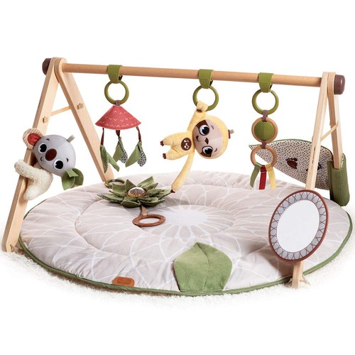 Luxe developmental gymini - luxe,