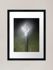 Dragon Eye Wizard Staff Framed
