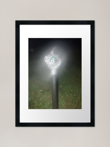 Dragon eye wizard - dragon, staff