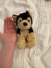 Small Mini German Shepherd