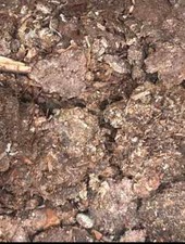 100% Pure chicken manure fresh