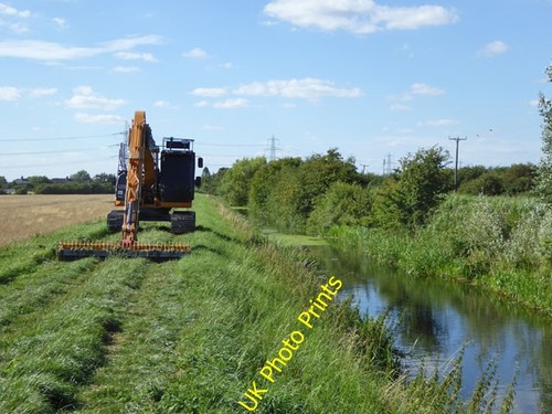 Photo 6x4 weed cleaning soham - weed,
