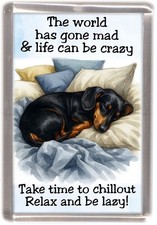 Dachshund Smooth Haired Black