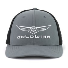 Honda Goldwing Excursion Gray