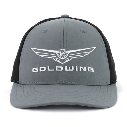 Honda goldwing excursion - honda, gray
