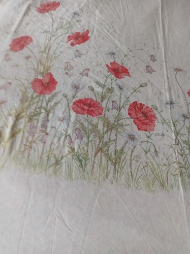 Dorma country diary - country, poppies