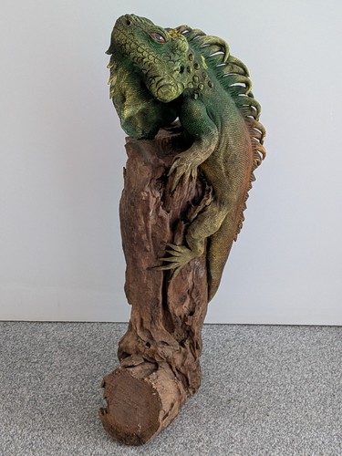 Realistic iguana lizard hand - lizard,