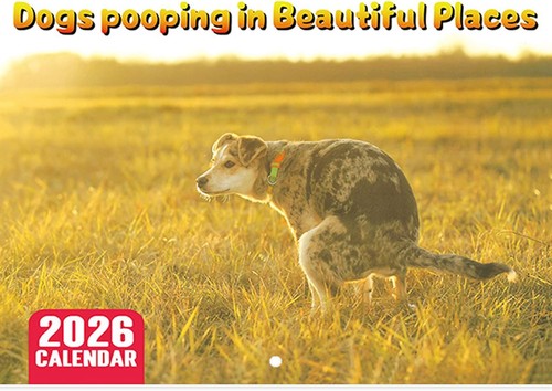 2026 dog pooping - dog,