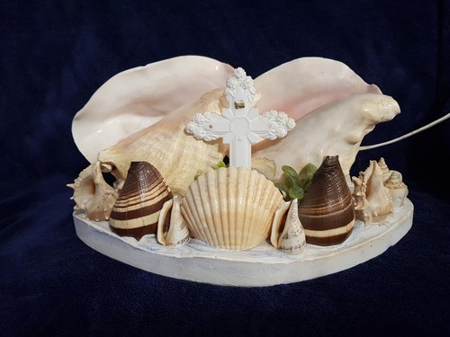 Vtg mcm double conch shell - vtg,