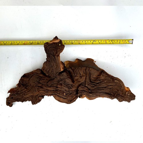 Mopani driftwood very large - driftwood,
