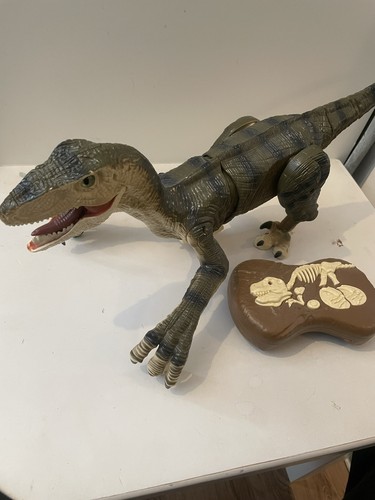 Large dinosaur toy fossil - dinosaur,