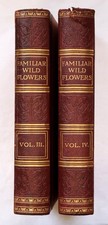 c.1895 Old Vintage Hulme FAMILIAR WILD FLOWERS 4 Vols Botany Plants Col Plates