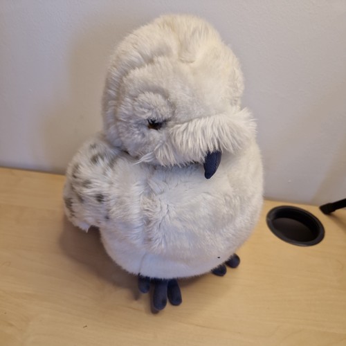 Harry potter hedwig - potter, owl