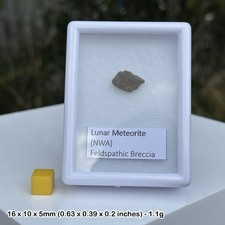 Certified Lunar NWA 8687