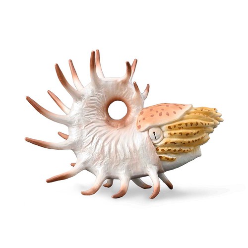 Collecta cooperoceras dinosaur - cooperoceras,