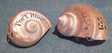 Pair of Antique Mother of Pearl Carved & Pierced Conch Shells