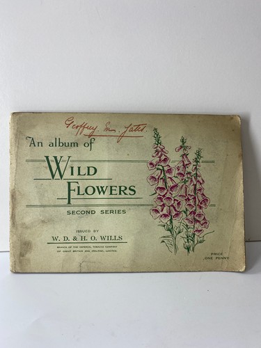 Album wild flowers - album,