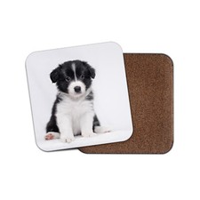 Border Collie Puppy Coaster - Dog Puppies Cute Adorable Farm Pets Gift #15372