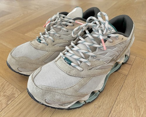 Mizuno wave prophecy - mizuno,