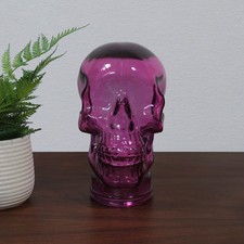 Purple Glass Halloween SKULL Head Wig/Hat/Headphones Mannequin/Display Stand