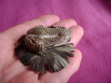 old MINIATURE QUERKY ORNAMENT