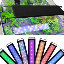 Aquarium light over head - light, 24/7