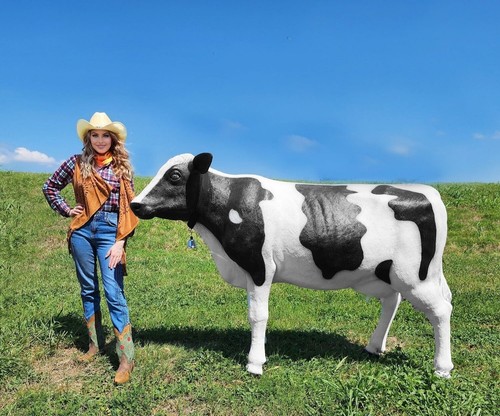 Cow life size statue large - cow,