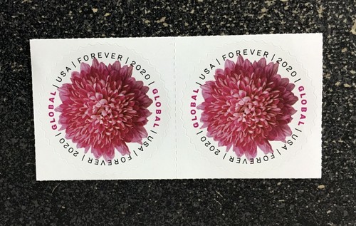 2020usa 5460 global forever - #5460,