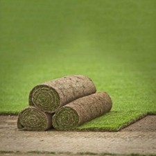 Real Grass Turf Rolls Garden Landscape Supplies (NORTH WEST ONLY) 20 Sq. Meters