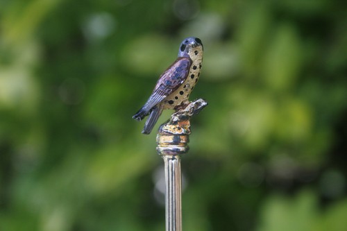 Vintage spoon hawk kestral - hawk,