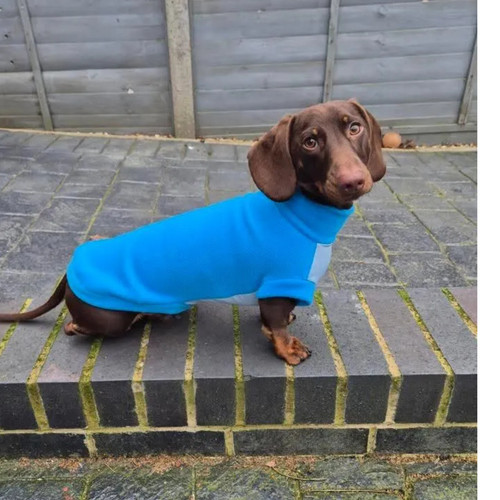 Dachshund fleece jumper - fleece,