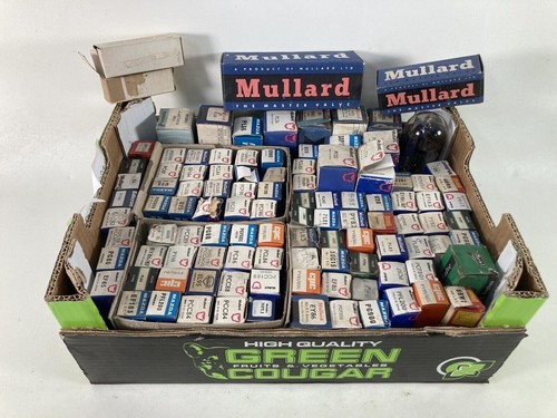 Large job lot 100 - large,