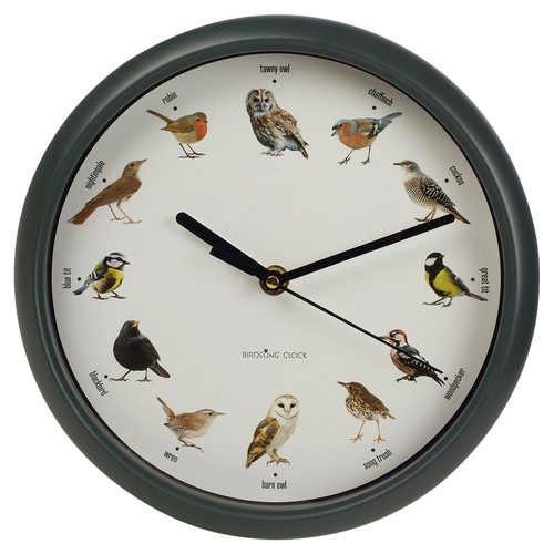 Bird clock with - bird,