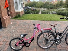 WeeRide Co Pilot Tag Along Pink - Trailer Bike for Kids Excellent condition