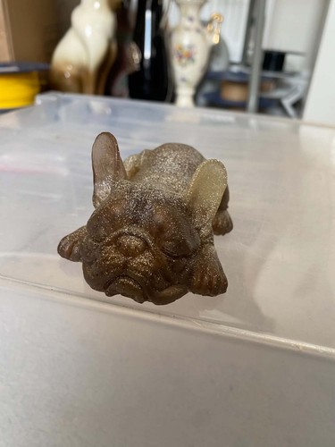 Cute french bulldog playful - cute,