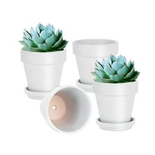 vensovo 6 Inch Clay Pot for
