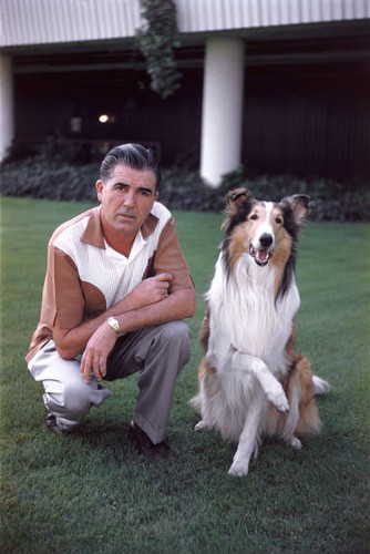 Lassie with trainer - , rudd