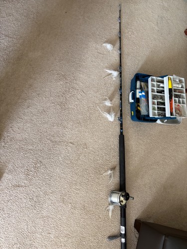 Boat rod and - , reel