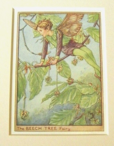 Vintage flower fairies print - vintage,