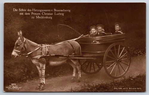 Postcard royal children - -,