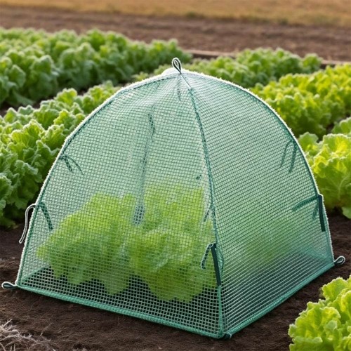 Grow tent garden greenhouse - grow,