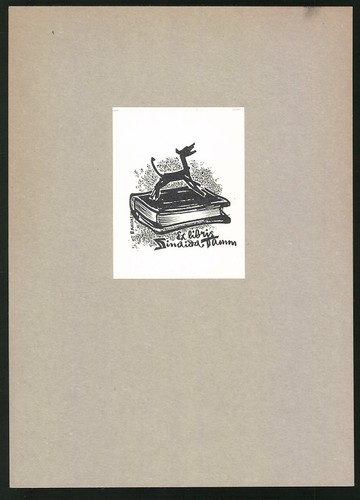 Libris zindida tamm - ex,