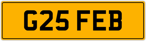 25th feb feba febe - g,