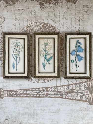 Vintage set botanical - 3,