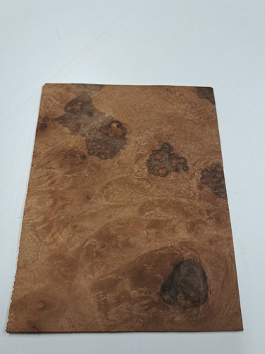 Burr walnut veneer - burr,