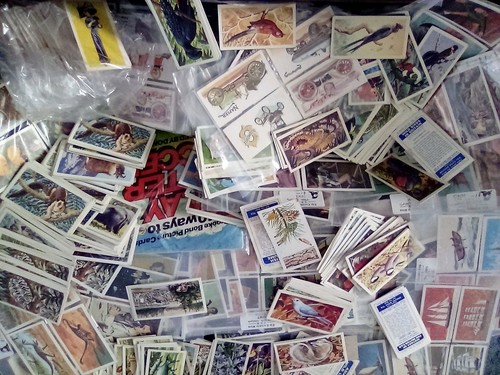 Case full tea cards - cards, (