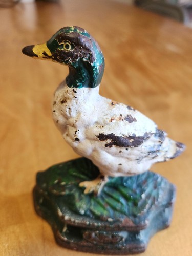 Green and white - white, duck
